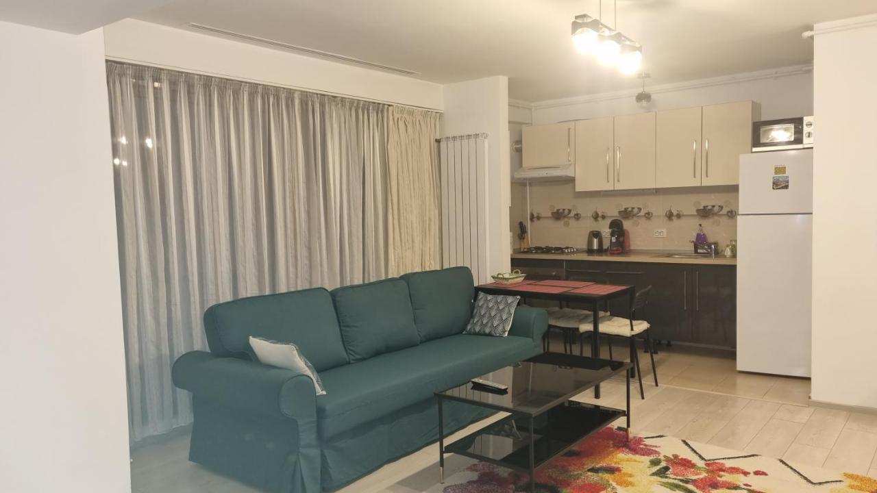 Tibiscum Apartament, Bucuresti 外观 照片